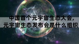 中国首个元宇宙生态大会,元宇宙生态发布会是什么组织