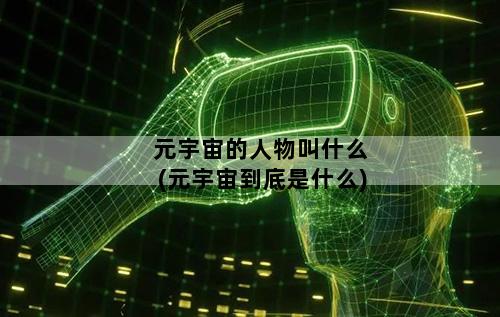 元宇宙的人物叫什么(元宇宙到底是什么)