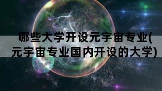 哪些大学开设元宇宙专业(元宇宙专业国内开设的大学)
