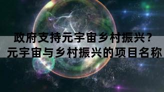 政府支持元宇宙乡村振兴？元宇宙与乡村振兴的项目名称