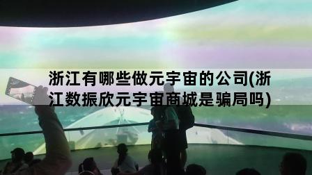 浙江有哪些做元宇宙的公司(浙江数振欣元宇宙商城是骗局吗)